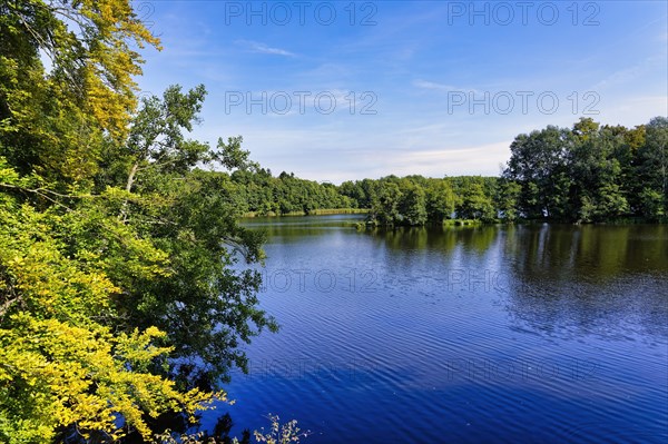 Lake Amts surrounded by forest