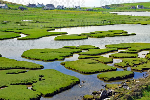 Gezeitenlandschaft mit Grasinseln und Wasserarmen