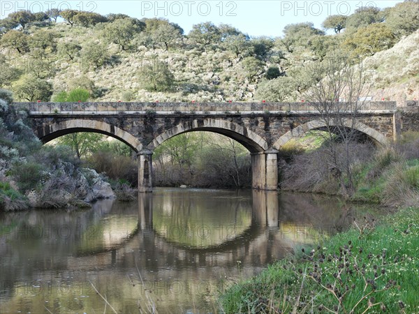 Roemische Bruecke im Monfrague Nationalpark