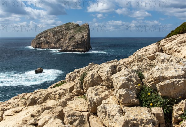 View of Foradada Island from Belvedere La Foradada