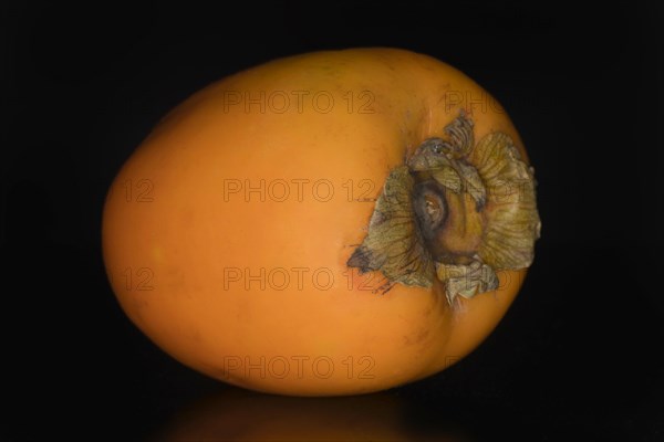 Persimmon