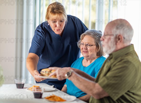 Female doctor or nurse serving senior adult couple sandwiches at table