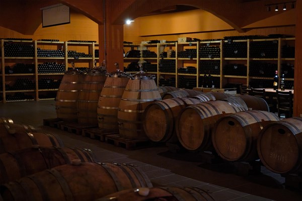 Winery cellar with wooden wine barrels