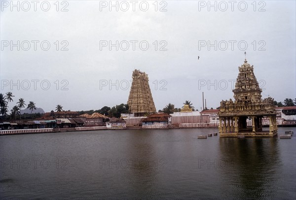 The Thanu Malayan Temple's RajaGopuram and tank at Suchindrum near Kanyakumari