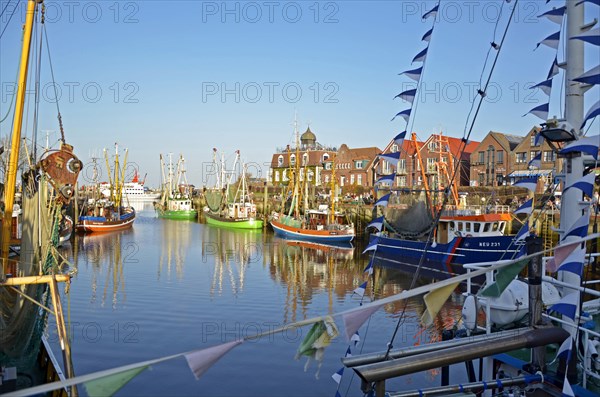 Fishing cutter harbour