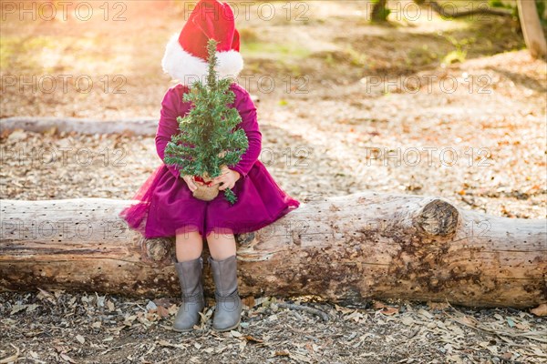 Cute mixed-race young baby girl having fun with santa hat and christmas tree outdoors on log