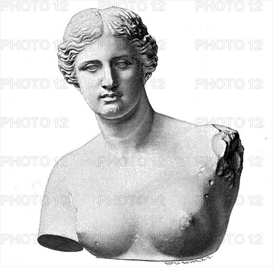 Die Venus von Milo