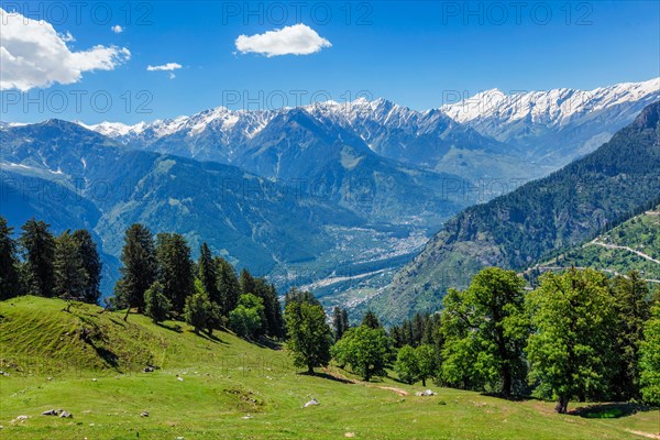 Spring meadow in Kullu valley in Himalaya mountains