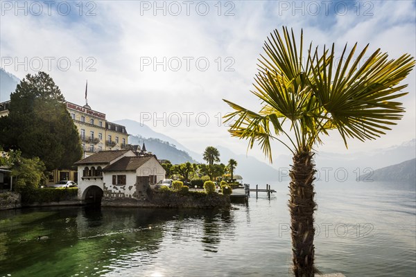 Hotels and houses on the lake