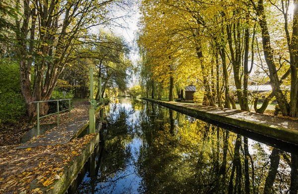 Golden autumn on the Anzinger Sempt in Markt Swabia