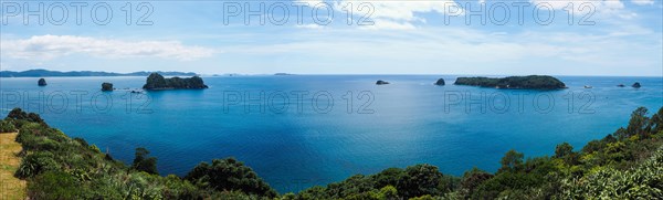 Coast at Cathedral Cove Walk