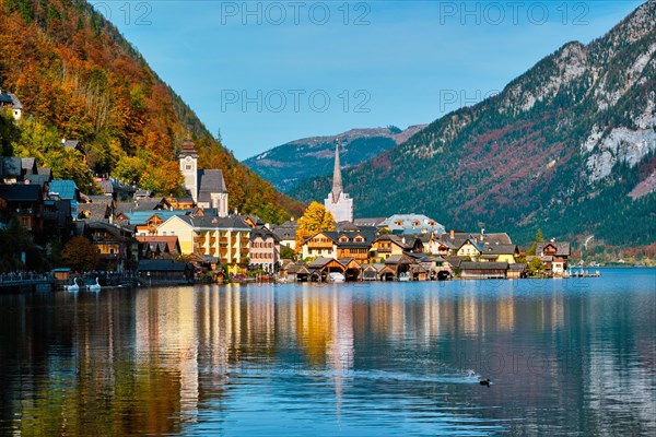 Austrian tourist destination Hallstatt village on Hallstatter See lake in Austrian alps in autumn with duck