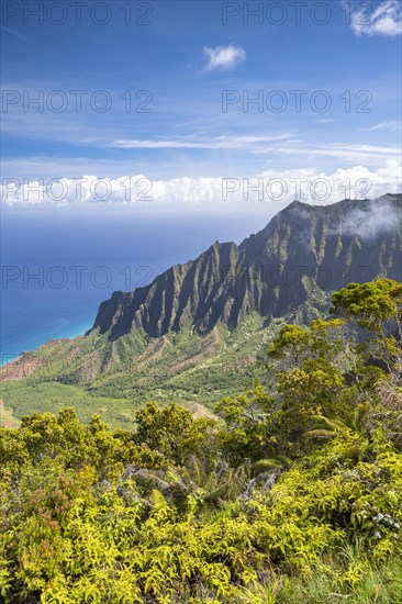 Blick vom Kalalau Lookout ins Kalalau Valley