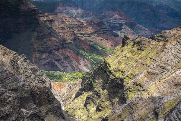 Waimea Canyon State Park