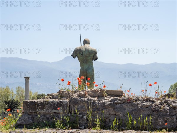 Ruins and statue in a poppy field