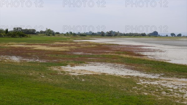 Dried-up salt puddle in late summer