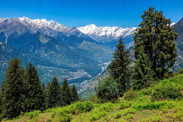 Spring meadow in Kullu valley in Himalaya mountains. Himachal Pradesh