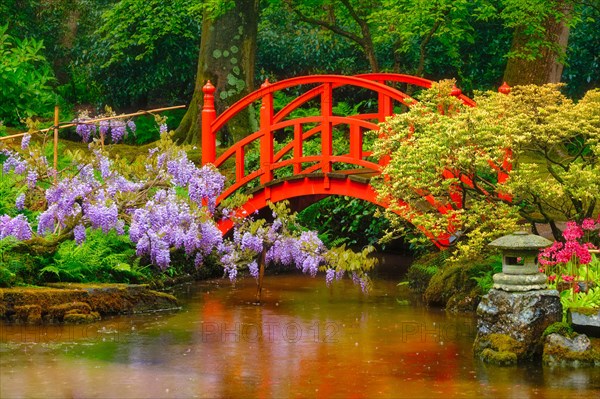 Small bridge in Japanese garden