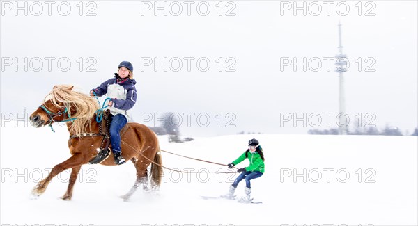 Skikjoering mit Haflinger am Peissenberg