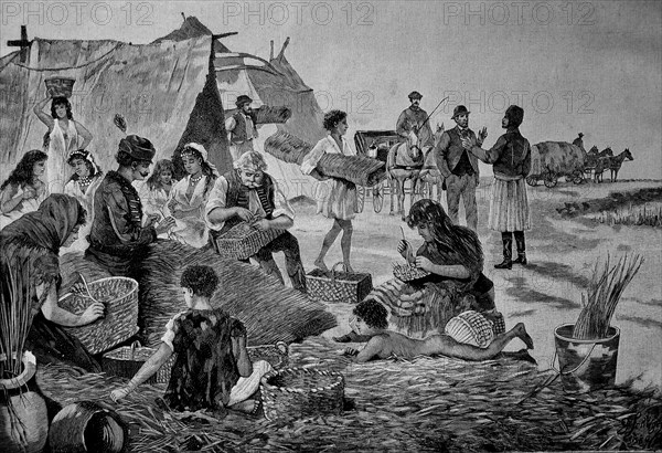 Basket weavers