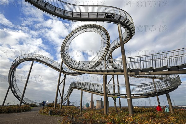 Tiger and Turtle