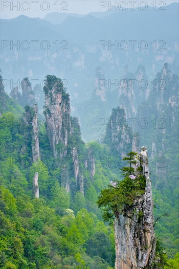 Famous tourist attraction of China