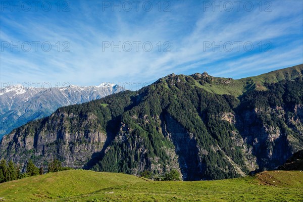 Spring meadow in Kullu valley in Himalaya mountains. Himachal Pradesh