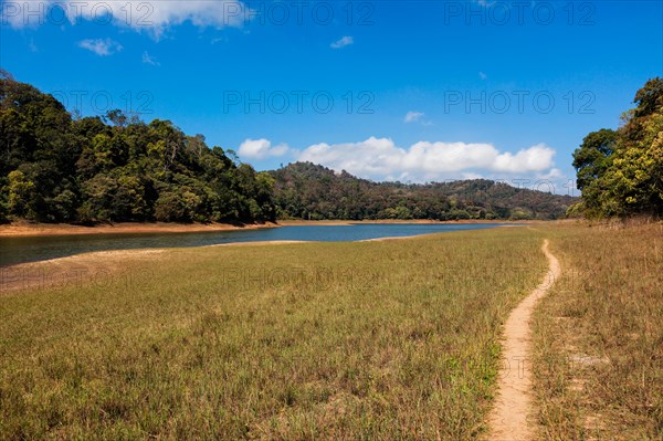 Periyar lake in Periyar wildlife sanctuary