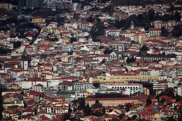 View of Calheta