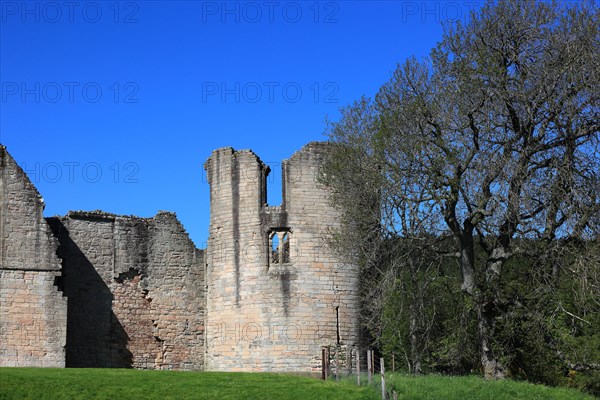 Ruin of Castle Kildrummy