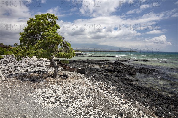 Volcanic beach