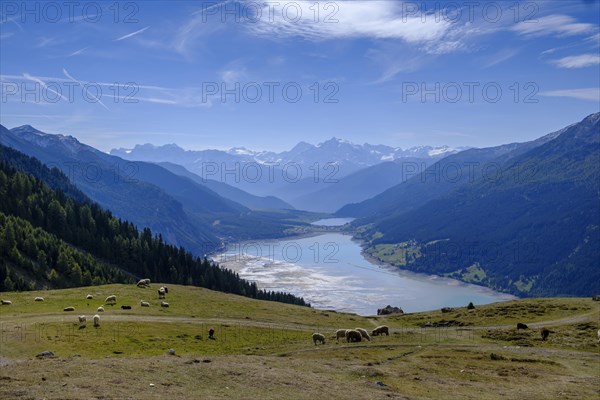 Viewpoint of Lake Reschen and the Ortler Group from the Plamort plateau