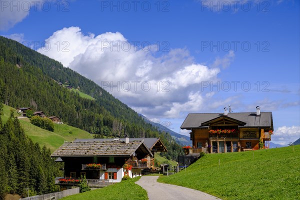 Mountain farms near St. Gertraud