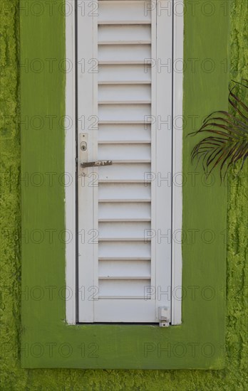Abstract green and white window pane and shutter