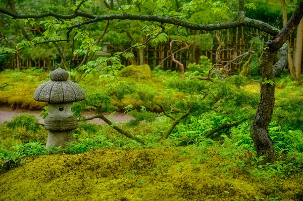 Stone lantern in Japanese garden