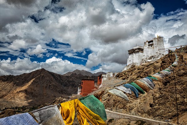 Leh Tsemo fort and gompa and lungta