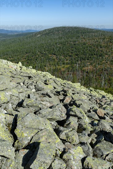 Ausblick vom Lusen auf das Blockmeer und den Wald