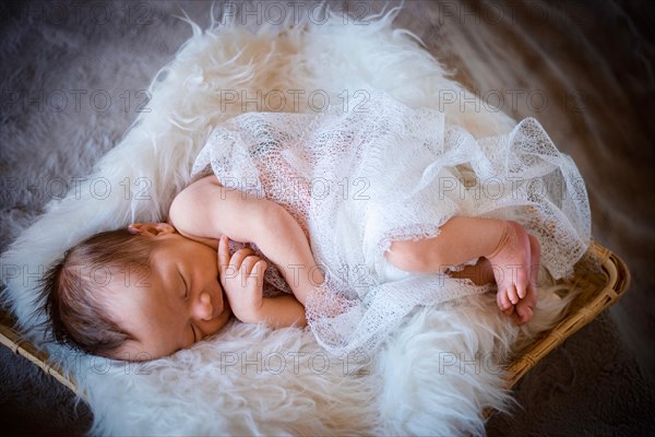 Cute newborn baby boy sleeping in the basket on fluffy blanket