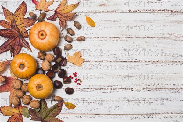 Autumn leaves vegetables with copy space