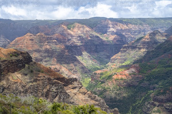 Waimea Canyon State Park