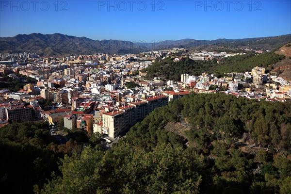 Malaga