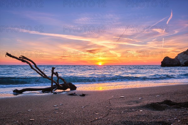 wood trunk snag in water at tropical beach on beautiful sunset