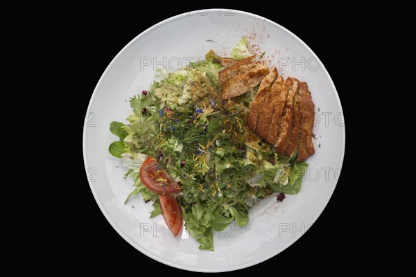 Mixed salad with roasted turkey strips on a black base