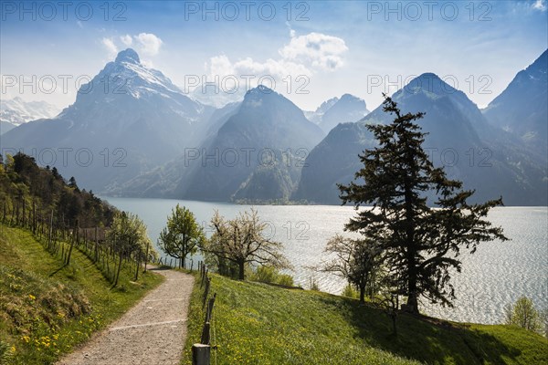 Panorama with lake and mountains