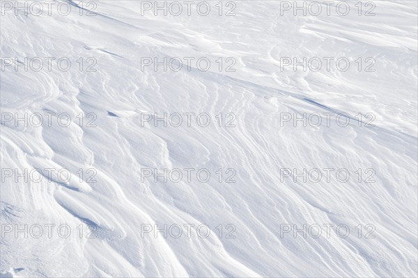 Snowdrift