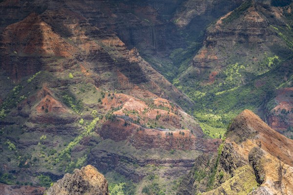 Waimea Canyon State Park