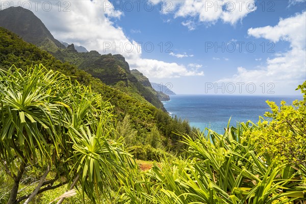 Blick vom Kalalau Trail auf die Na Pali Coast