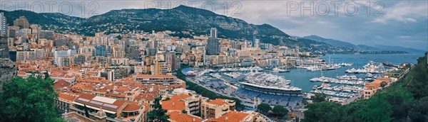 Panorama of Monte Carlo