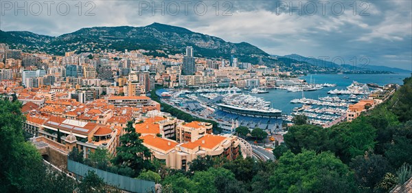 Panorama of Monte Carlo