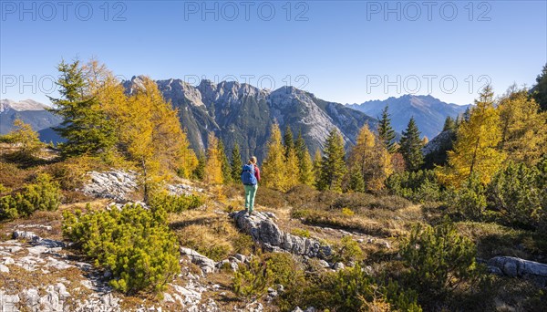 Hikers in the landscape